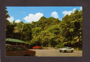 PR Rain Forest cars Montana de El Yunque al fondo Palmer Puerto Rico Postcard