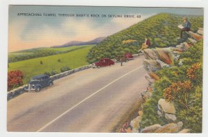 P2443, vintage postcard overlook view old cars people marys rock skyline drive