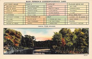 Busy persons correspondence card Puzzle Rebus Unused 