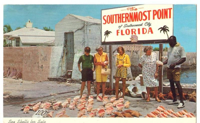 Sea Shells for Sale, Florida, 1960s unused Postcard 