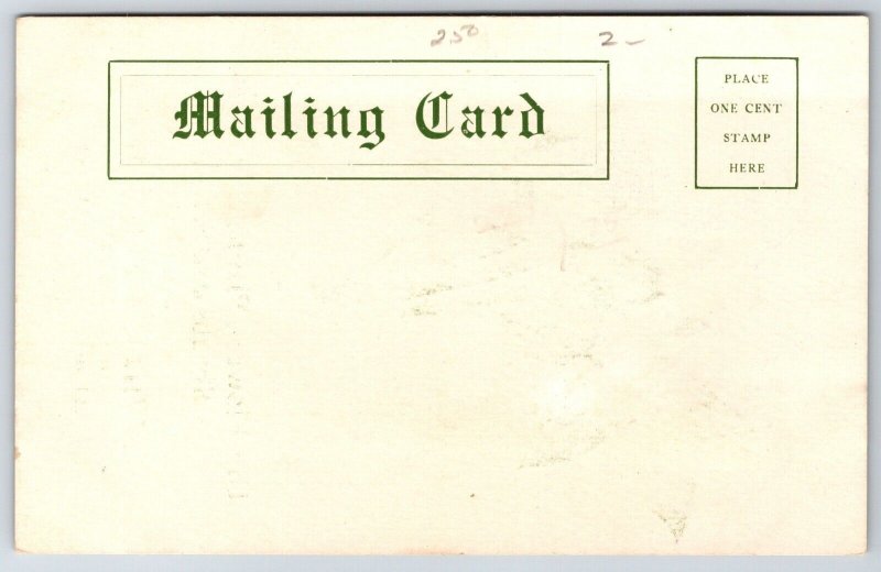 Des Moines Iowa~Wilson Flower Shop~Pink Rose~Perennials~Shrubs & Seeds 1900-1905