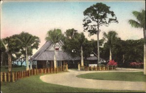 Clearwater Belleair FL Florida Eagles Nest Gardens Hand Colored Postcard