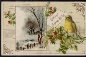 With Best Christmas Joys Birds Holly Scene