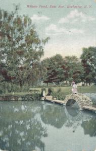 Willow Pond, Rochester, New York - pm 1909 - DB