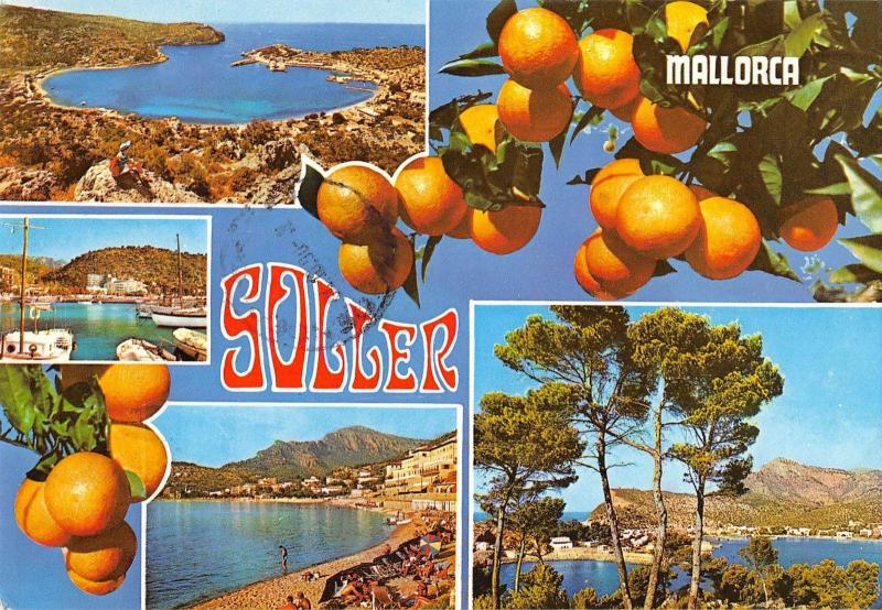 BT3253 mallorca Boller     Spain