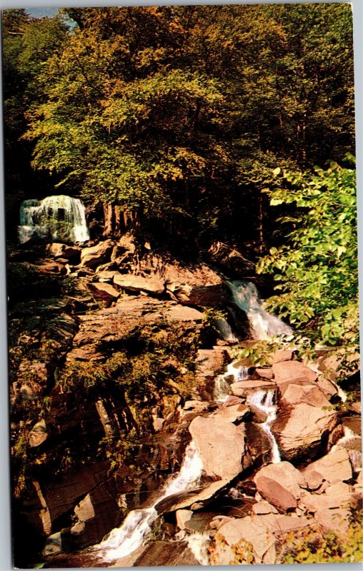 Postcard NY Catskill Mountain Sebastian Falls on the Rip Van Winkle Trail
