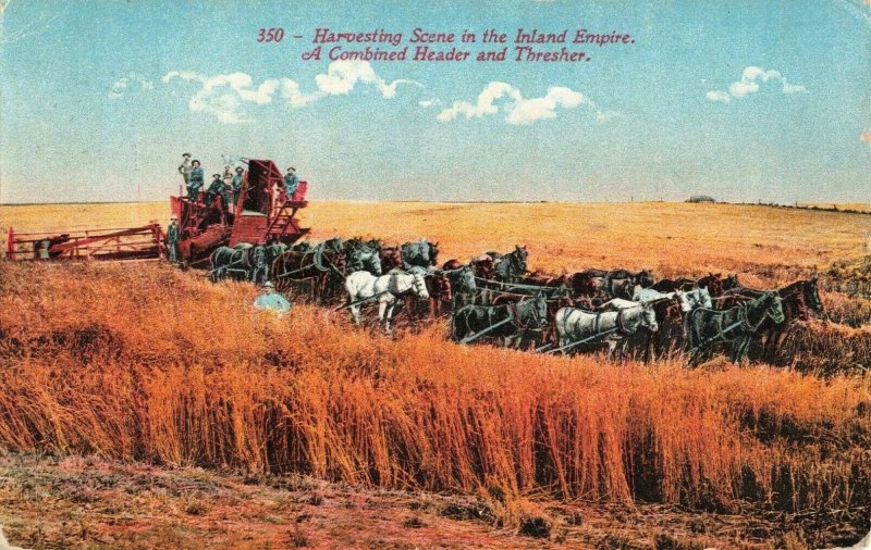 Postcard Harvesting Scene in the Inland Empire