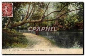 Old Postcard Creteil The tree leans Arm Chapter