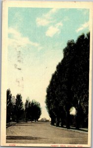 View on Fenway Drive, Boston MA c1920s Vintage Postcard V06