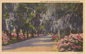 Georgia Savannah View In Bonaventure Cemetery