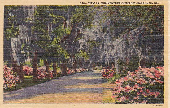 Georgia Savannah View In Bonaventure Cemetery