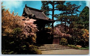 Postcard - Oriental Tea Garden, Golden Gate Park - San Francisco, California