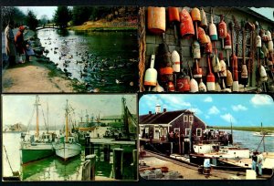 Y53 Mass. Cape Cod Harbor Fishing Boats, Lobster Bouys, Ducks at Forest Park