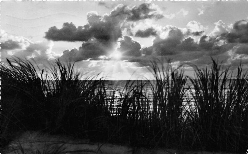 BG24142 insel sylt abend am meer  germany CPSM 14x9cm