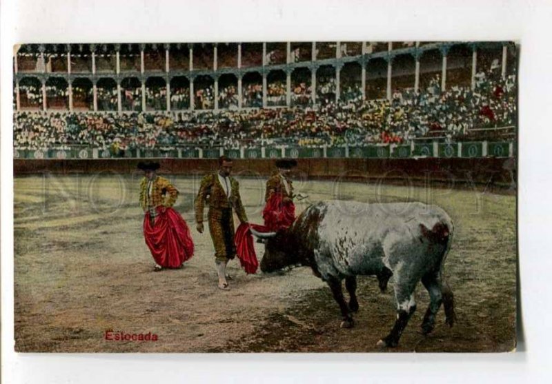 299763 SPAIN Matador TORERO bullfighter BULL Estocada Vintage postcard
