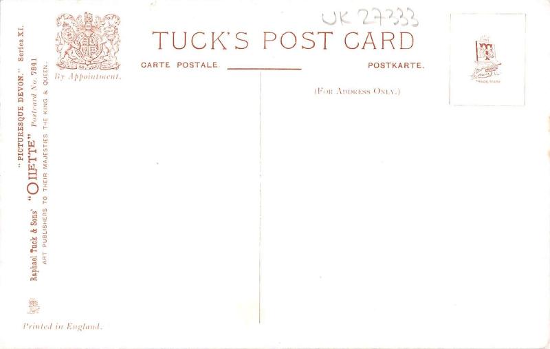 uk27333 bluebells of  devon uk