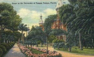 University of Tampa - Florida FL