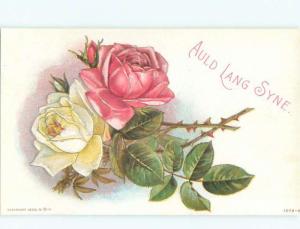 Divided-Back BEAUTIFUL FLOWERS SCENE Great Postcard AA2961