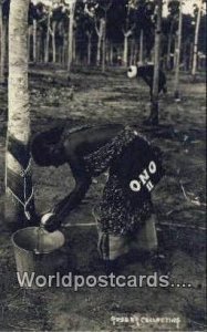Real Photo Rubber Collecting Rubber Collecting Malaya, Malaysia Unused 