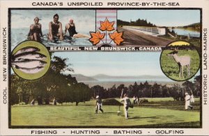 Beautiful New Brunswick Golf Fishing Hunting Government Advertising Postcard H59