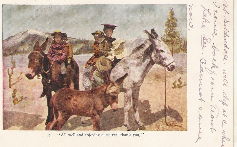 Children riding donkeys Old vintage American postcard