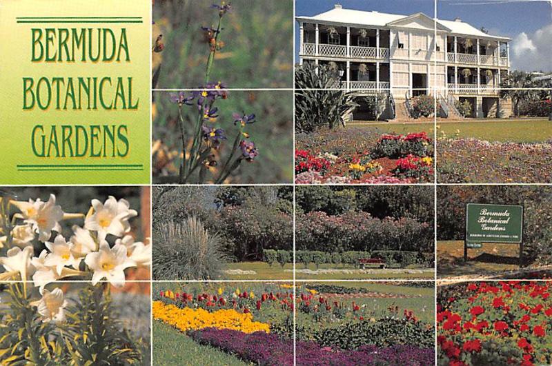 Bermuda Botanical Gardens Hippostcard