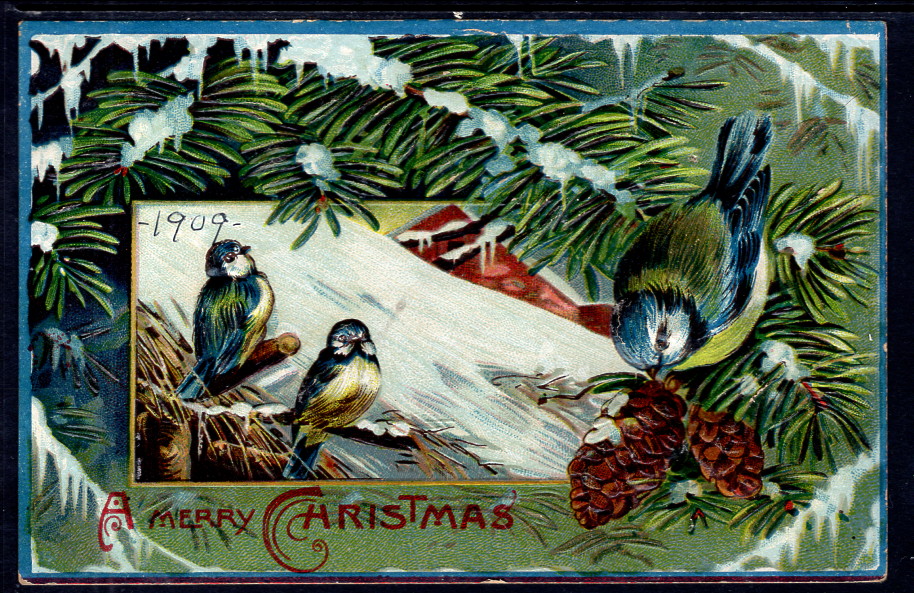 2701d303d4b083a332abacbe003519