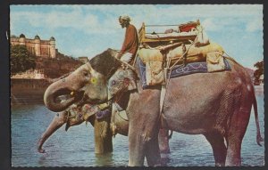 India Jaipur Elephant Ride ~ Chrome