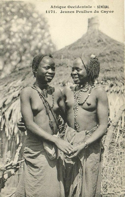 CPA AK Senegal Ethnic Nude Fortier - 1171. Jeunes Peulhes du Cayor (71152)