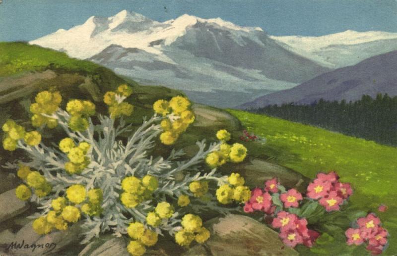 switzerland, Mountain Panorama with Flowers (1920s) Artist Signed A. Wagner