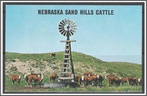 Nebraska Sand Hills Cattle - [NE-013]