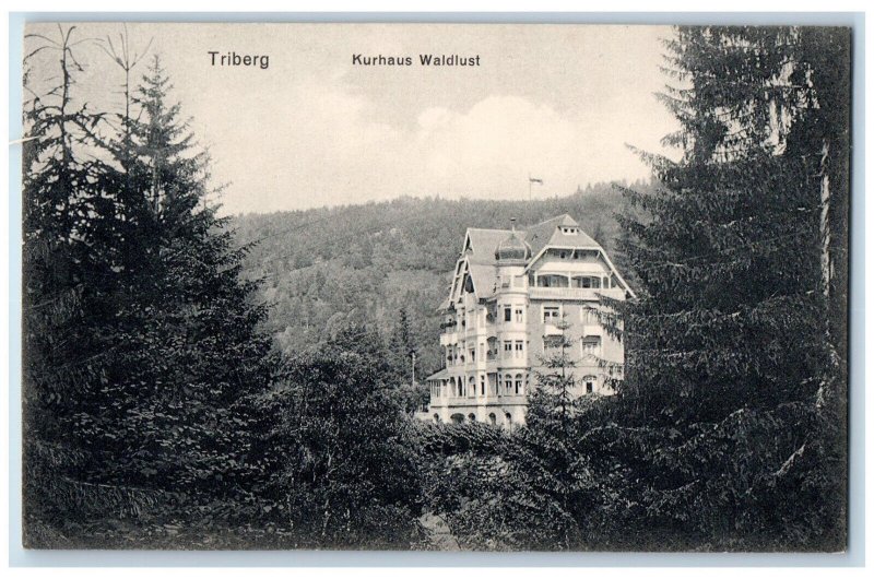 c1910 Kurhaus Waldust Triberg Baden-Württemberg Germany Unposted Postcard