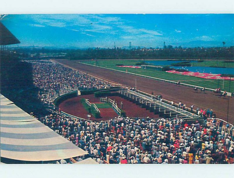 Chrome HORSE RACING SCENE Inglewood - Los Angeles California CA AG5445