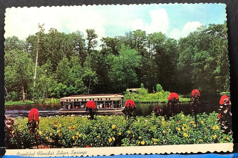 Florida Silver Springs Glass Bottom Boats Vintage Postcard