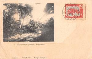 BR57130 Sentier dans les nabaniers a Mayumba congo francais    Africa TCV