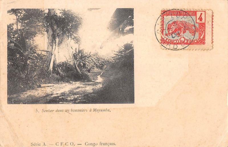 BR57130 Sentier dans les nabaniers a Mayumba congo francais    Africa