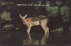 Greetings From Park Falls,WI Deer Postcard BIN