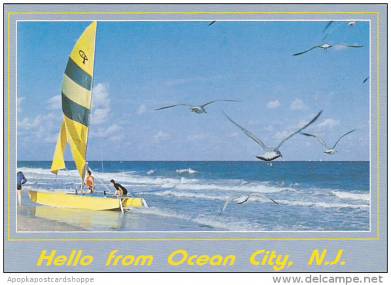 Hello Fom Ocean City New Jersey