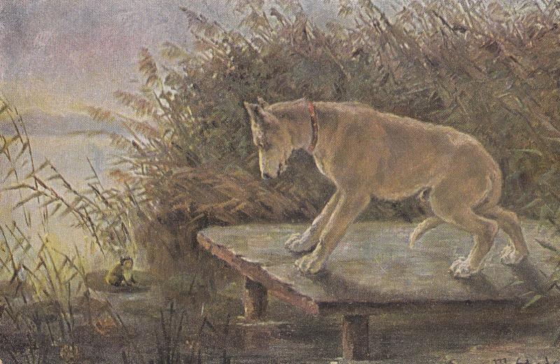 Ferocious Dog Hunting Tiny Miniature Monkey On Water Leaf Old 1903 Postcard