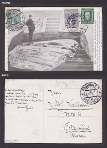 GERMANY, Postcard, Bodenbach, Hunger stone