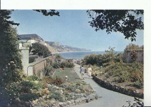 Devon Postcard - Sidmouth, Connaught Gardens, J.Arthur Dixon  8419A
