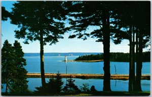 Baddeck Light Bras D'Or Lake Salt Water Lake Lighthouse Trees Island Postcard