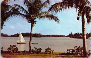 Inter Coastal Waterway Fort Lauderdale FL Florida Sailboat Postcard VTG UNP  