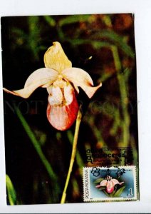 422214 ROMANIA 1990 year flowers orchid maximum card