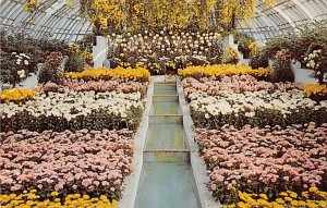 Fall Flower Show, Cascade Garden Pittsburgh, Pennsylvania PA Postcards