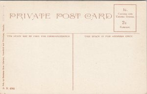 Namayo Street Edmonton AB Alberta Avenue Streetcar Dog Horse Unused Postcard F41