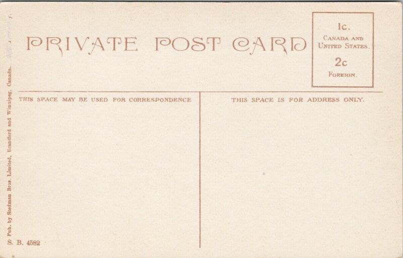 Namayo Street Edmonton AB Alberta Avenue Streetcar Dog Horse Unused Postcard F41