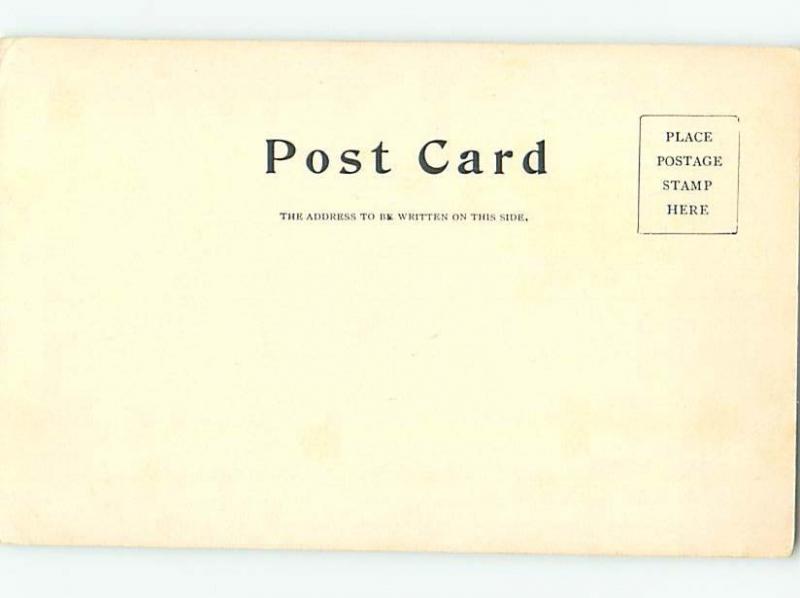 Pre-1907 BUILDING SCENE Newfane Vermont VT H7321