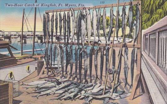 Fishing Two Hour Catch Of Kingfish Fort Myers Florida