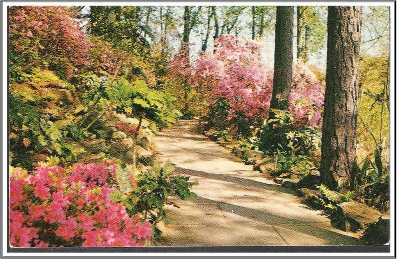 Alabama, Mobile Bellingrath Gardens Postcard